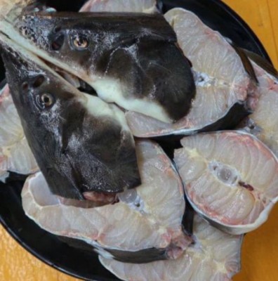 Cá tầm