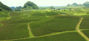 Đặc sản Sơn La