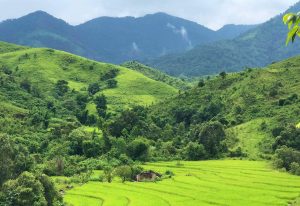 Đặc sản điện biên