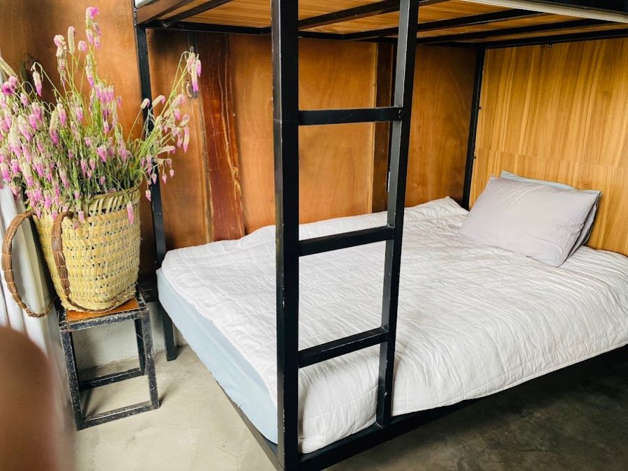 Nhà nghỉ Jasmine Hostel - Ảnh sưu tầm