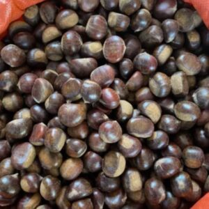 Hạt dẻ chứa nhiều chất dinh dưỡng bổ ích - Ảnh sưu tầm