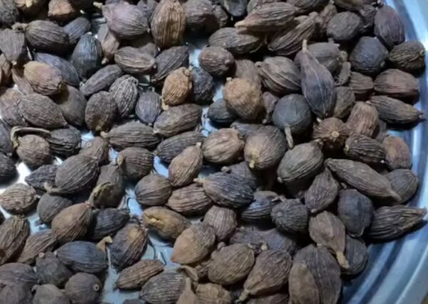 Lưu ý khi sử dụng thảo quả - Ảnh từ Cây thuốc quý