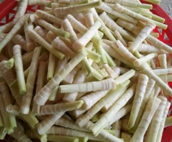 Măng sặt tươi chứa nhiều chất dinh dưỡng cần thiết cho cơ thể - Ảnh sưu tầm