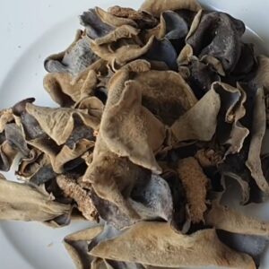 Nấm mộc nhĩ có nhiều tác dụng hữu ích cho cơ thể - Ảnh sưu tầm