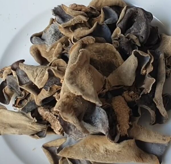 Nấm mộc nhĩ có nhiều tác dụng hữu ích cho cơ thể - Ảnh sưu tầm