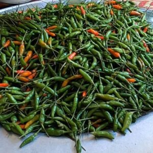 Ớt xiêm - Ảnh từ Tây Bắc Discovery
