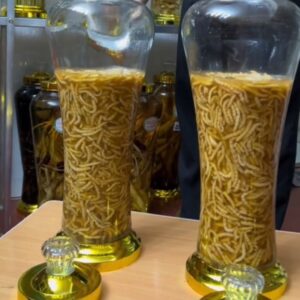 Lợi ích rượu sâu chít mang lại cho sức khỏe - Ảnh từ Nghị Lê