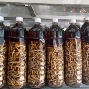 Màu sắc của rượu sâu chít khi được ngâm trong thời gian dài - Ảnh từ Lò Thủy