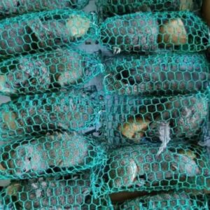 Thịt sóc chất lượng tại Đặc sản Tây Bắc - Ảnh từ Người Miền Núi