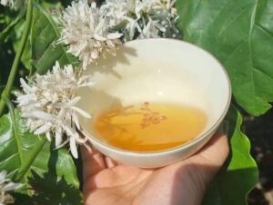 Cách dùng mật ong cho trẻ nhỏ và những lưu ý - Ảnh từ Hung Nguyen