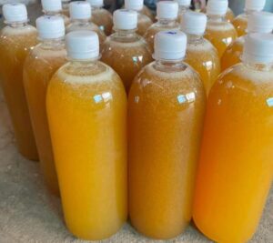 Cách uống mật ong để tăng cân - Ảnh từ Saư Trung