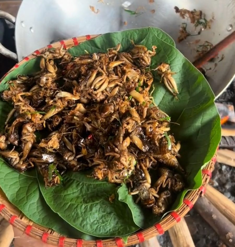 Dế mèn chiên giòn - Ảnh sưu tầm