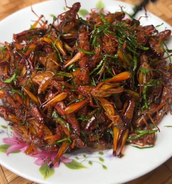 Châu chấu rang lá chanh - Ảnh sưu tầm