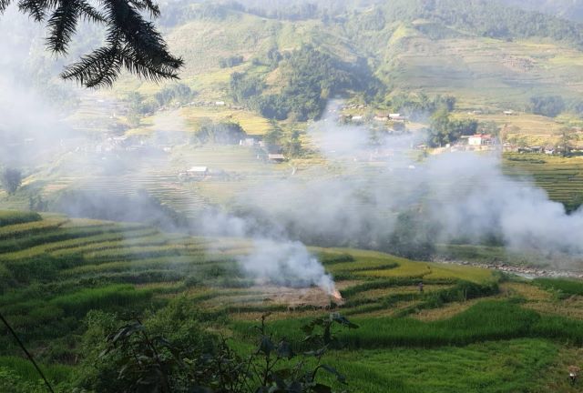 Chiếc viêw khung cảnh yên bình tại Sali House vào sáng sớm - Ảnh sưu tầm