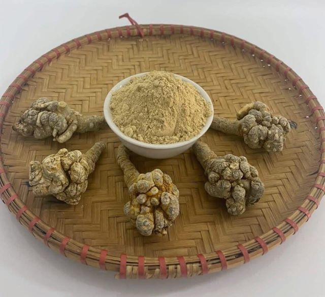 Củ và bột tam thất bắc khô - Ảnh sưu tầm Củ và bột tam thất bắc khô - Ảnh sưu tầm