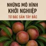 Mô hình khởi nghiệp thành công từ đặc sản Tây Bắc