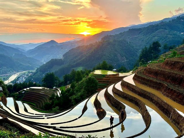 Mù Cang Chải mùa nước đổ - Ảnh từ Dê Núi Mù Cang Chải mùa nước đổ - Ảnh từ Dê Núi