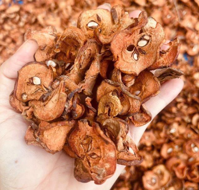 Táo mèo khô vùng Tây Bắc - Ảnh từ Tham Tran Táo mèo khô vùng Tây Bắc - Ảnh từ Tham Tran