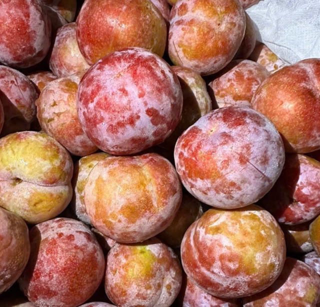 Mận tam hoa Lai Châu - Ảnh sưu tầm