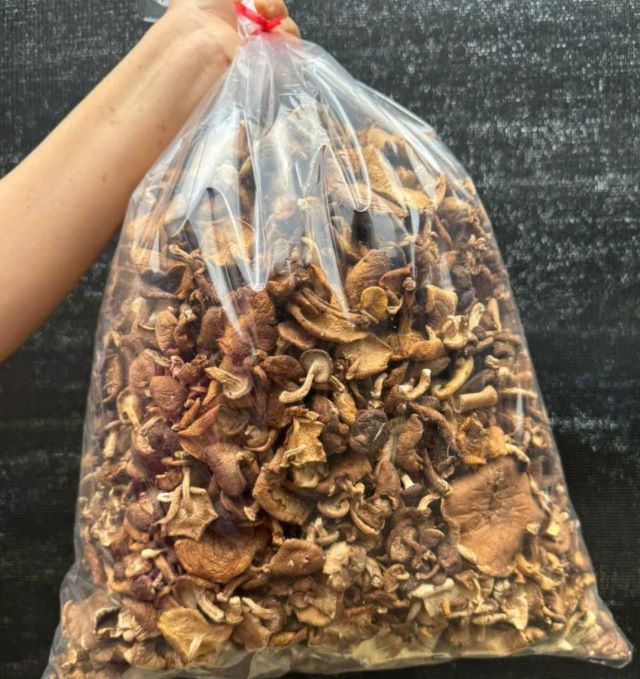 Nấm hương khô rừng Tây Bắc - Ảnh sưu tầm