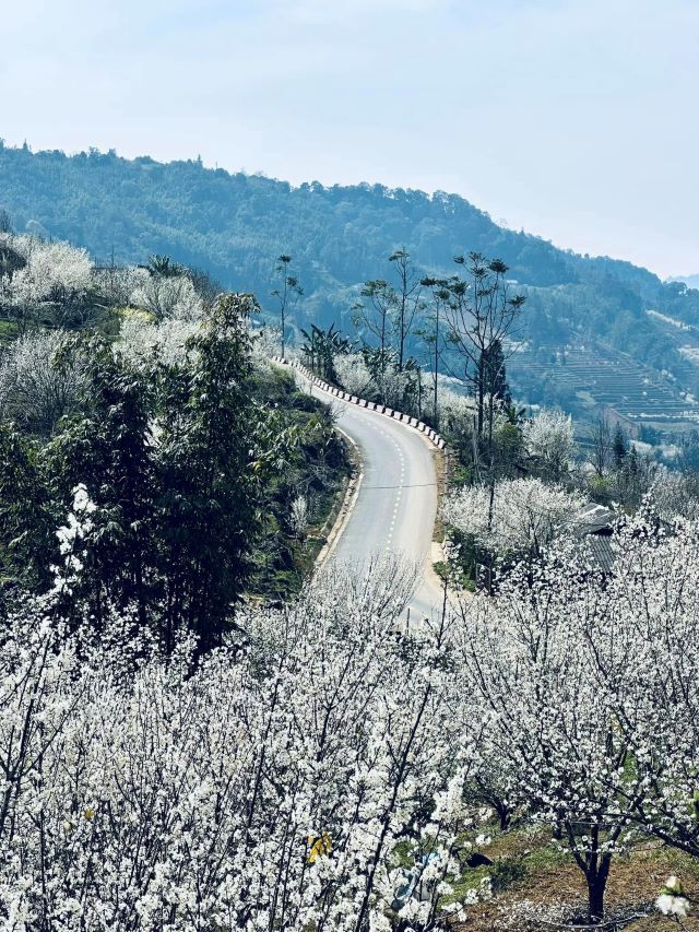 Bắc Hà (Si Ma Cai) Ảnh từ Cao Hương Bắc Hà (Si Ma Cai) Ảnh từ Cao Hương