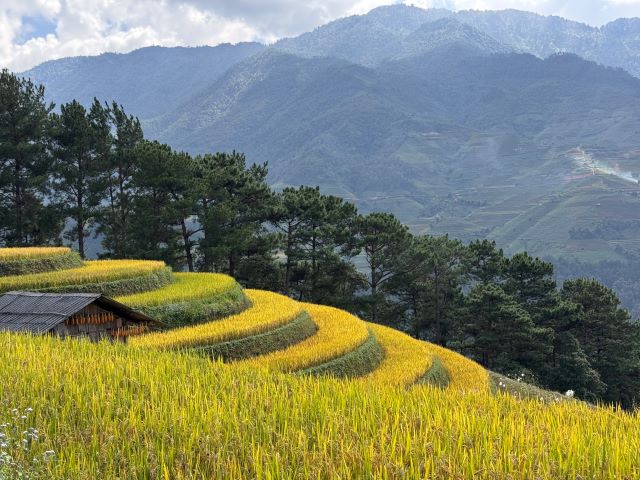 Khám phá Mù Cang Chải Ảnh từ Quang MaxxDesign Khám phá Mù Cang Chải Ảnh từ Quang MaxxDesign