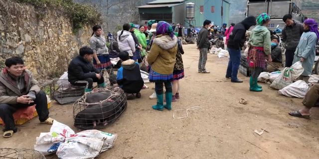 Khu vực trao đổi gia súc gia cầm tại chợ phiên Cán Cấu Khu vực trao đổi gia súc gia cầm tại chợ phiên Cán Cấu